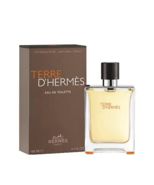 Terre D’hermes For Men By Hermes 100ml